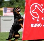 Крашка на Чемпионате Мира по IPO-3