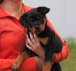 Бруна Шварцер Хельд