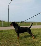 Pandora, female, 17 m